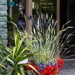 Hotel Violeta 4*