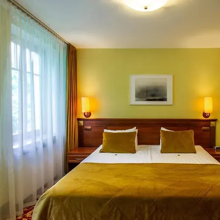 Violeta 4*