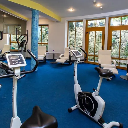 Hotel Violeta Druskieniki