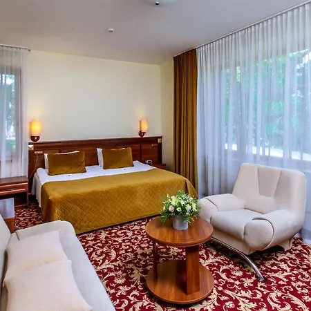 Violeta 4* Druskieniki