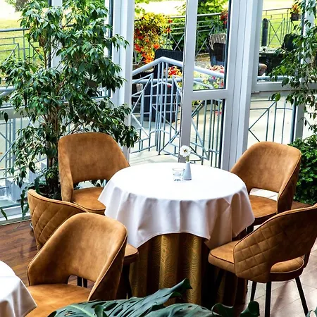Violeta Hotel Druskininkai