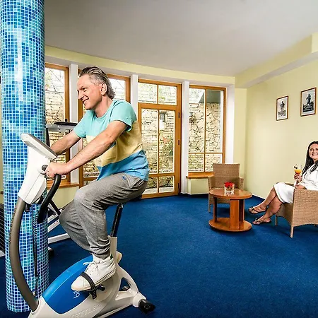 Violeta 4* Druskieniki