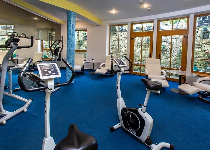 Hotel Violeta Druskininkai