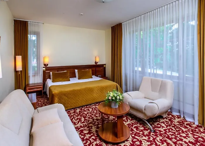 Violeta 4* Druskininkai