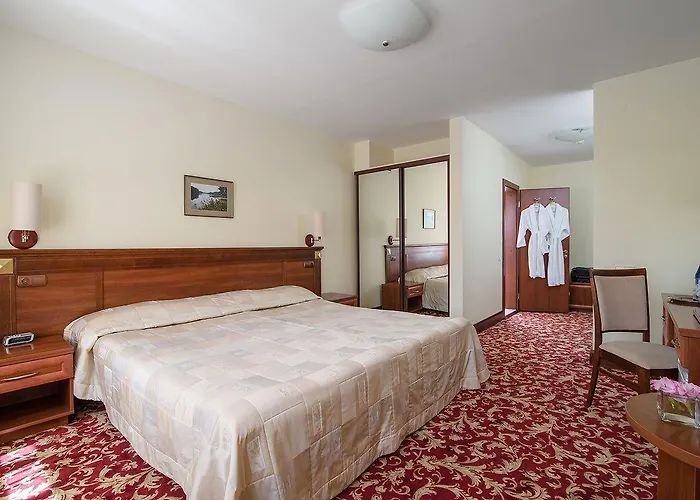 Hotel Violeta Druskininkai